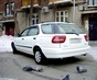 Фото Suzuki Cultus