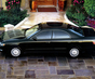 Фото Toyota Chaser