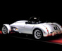 Фото Panoz Roadster