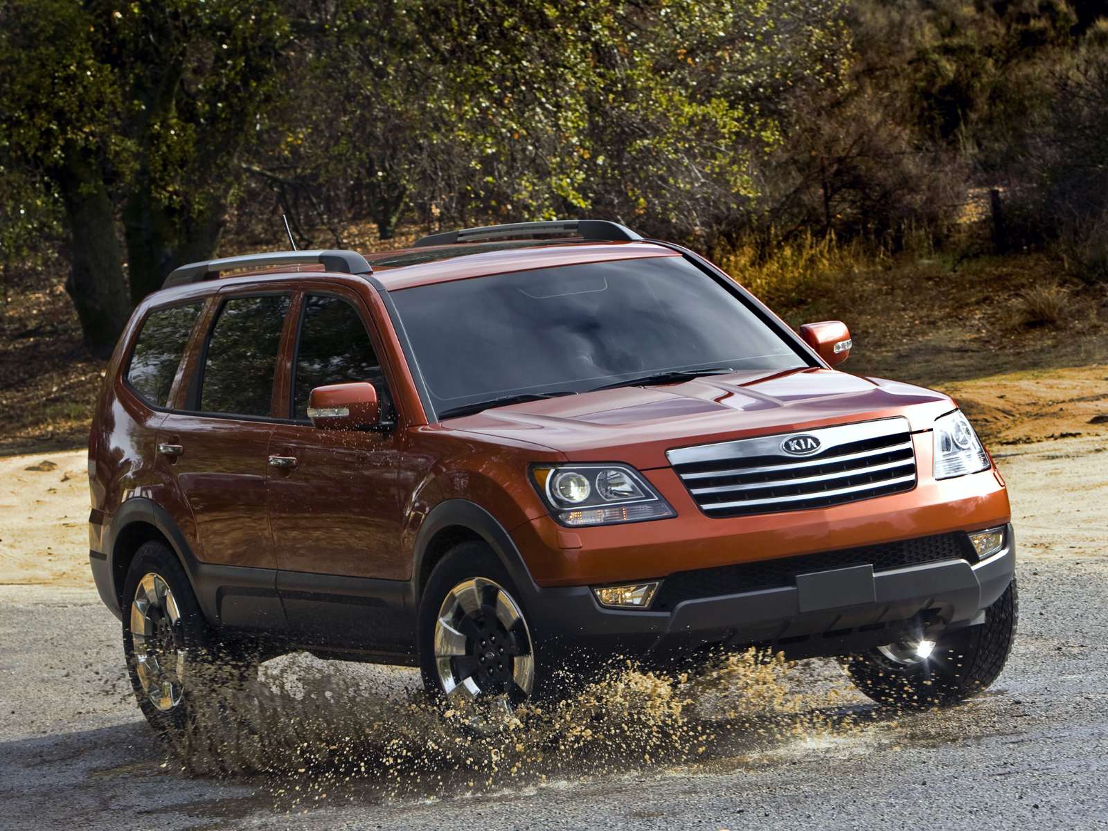 Фото Kia Borrego
