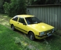 Фото Nissan Cherry