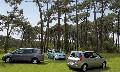 Фото Renault Scenic 2.0 AT