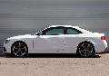 Фото Audi RS5 купе 1 поколение [рестайлинг] 