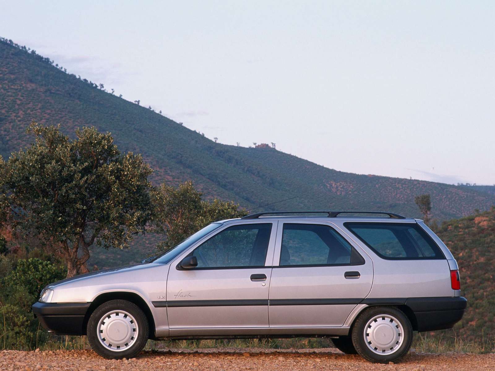 Фото Citroen ZX