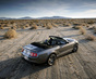 Фото Ford Shelby