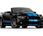 Фото Ford Shelby