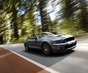 Фото Ford Shelby