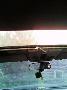 Фото Ford Sierra