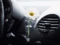 Фото Volkswagen New Beetle